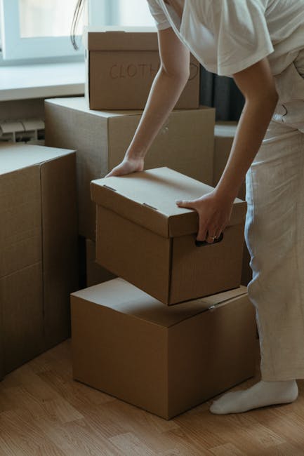 Two professional movers are inside a well-lit room with large, arched windows allowing natural daylight. The mover on the left, with a beard and curly hair, is carrying a medium-sized cardboard box la